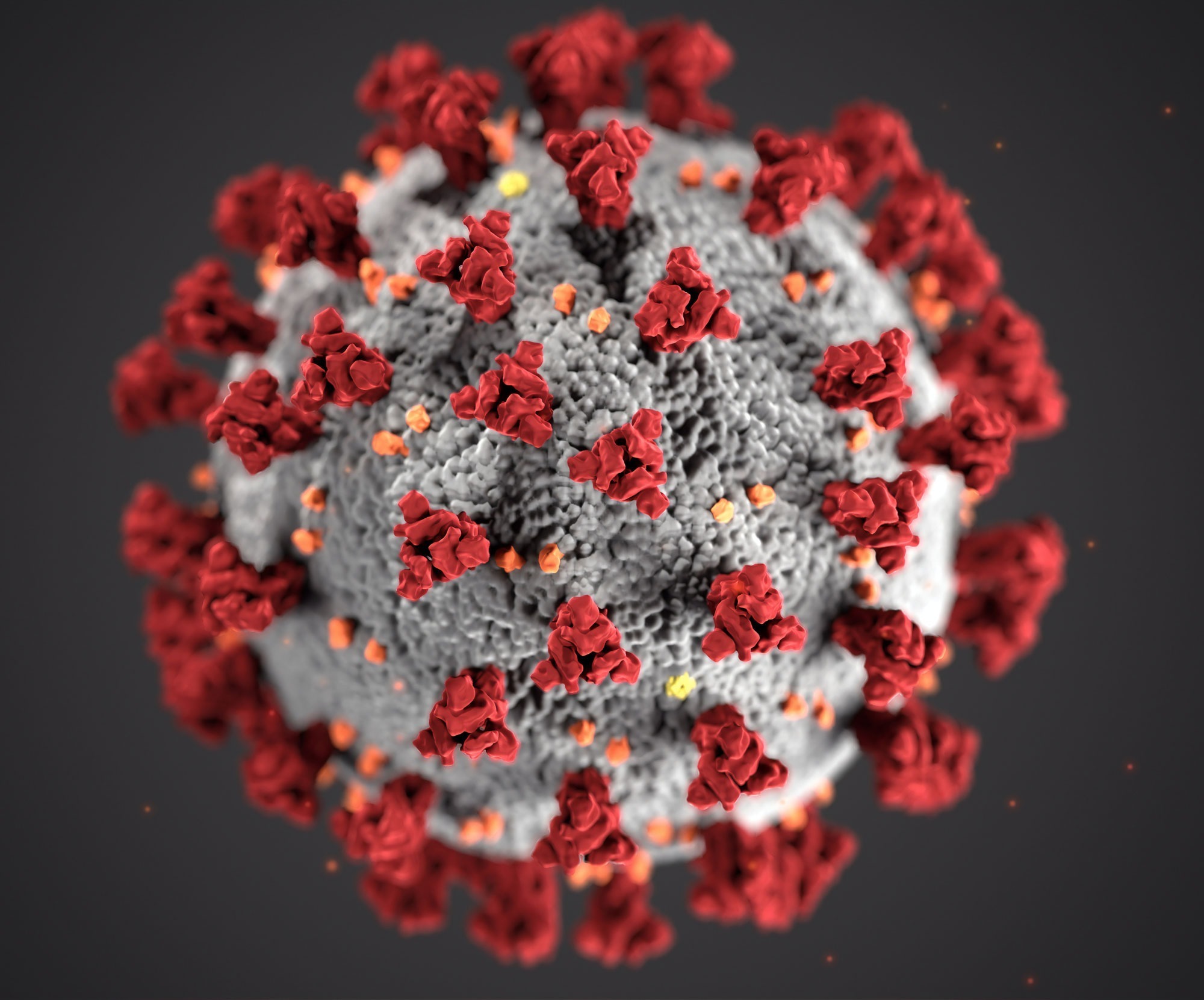 Coronavirus-(COVID-19)-Updates-2020